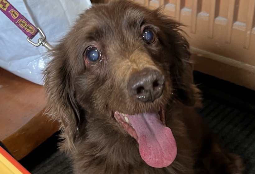 笑顔あふれる環境